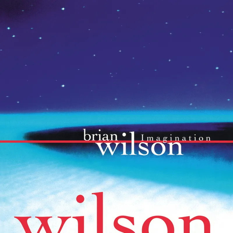 Brian Wilson - Imagination (RSD)